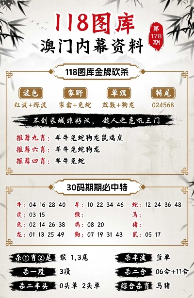 2025年正版资料免费大全与2025澳门精准正版免费四不像，全面释义、解释与落实
